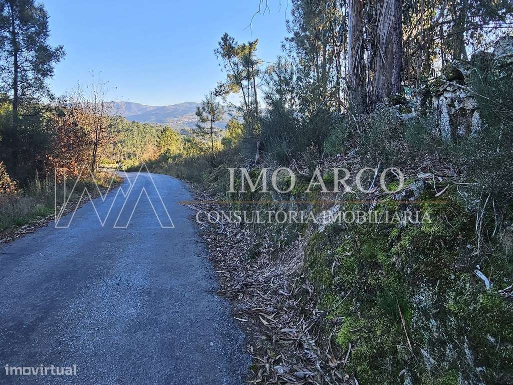 Terreno Rústico com 45.900 m² - Pedraça, Cabeceiras de Basto-16