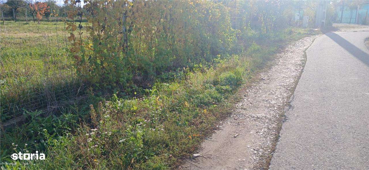 Teren intravilan Biharia - Imagine principală: 2/3