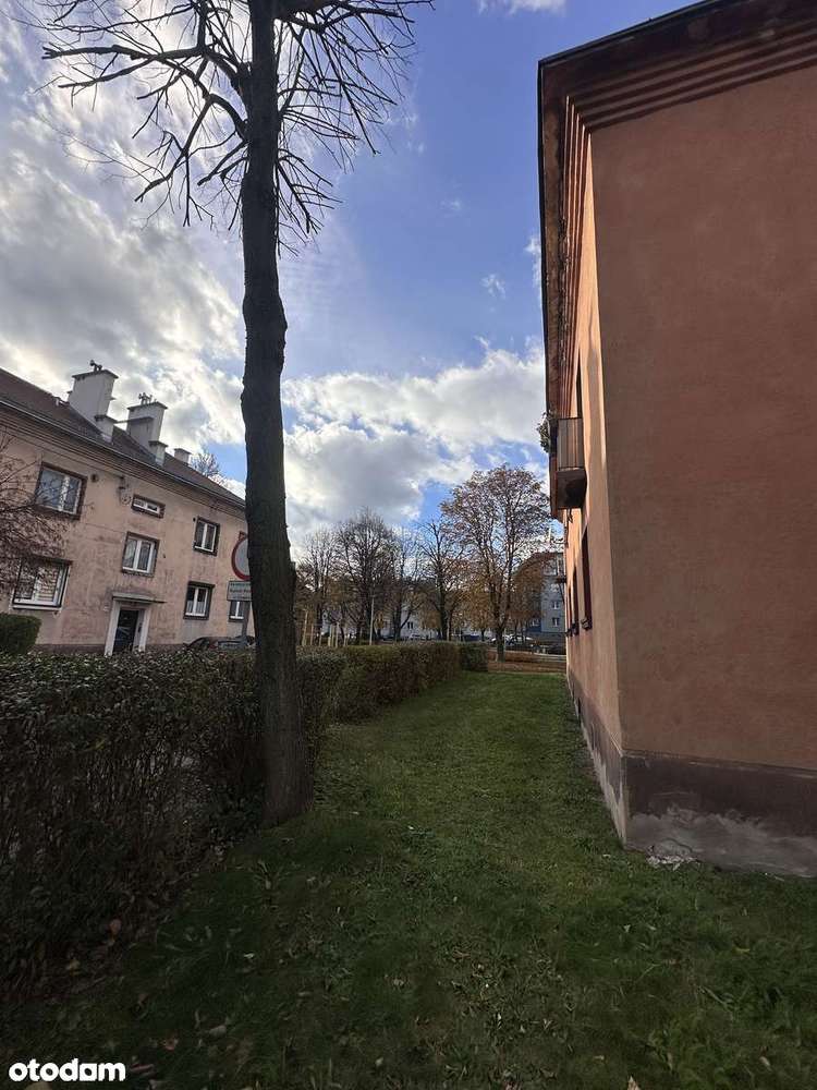 2 pokoje, 38m²do remontu w spokojnej, zielonej okolicy, I piętro - Pełny obrazek: 2/14