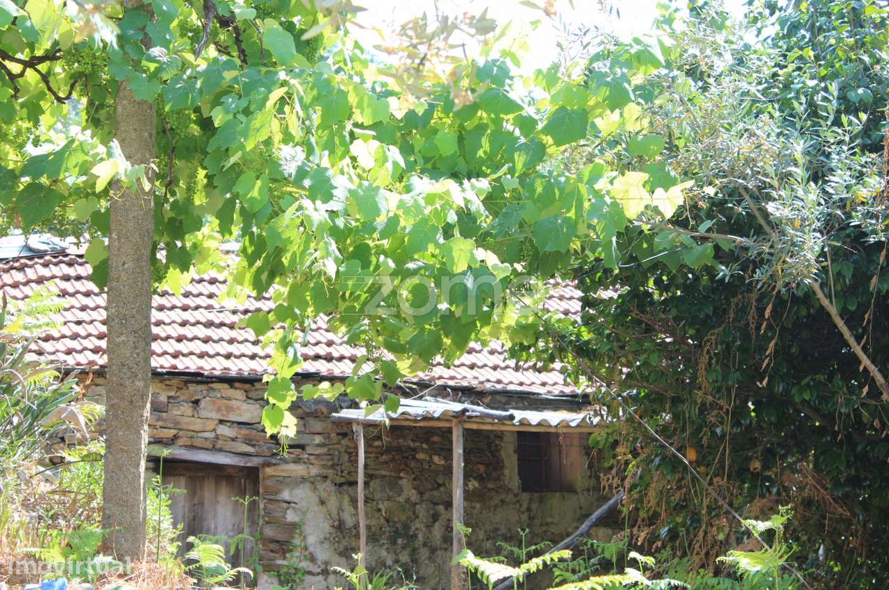Moradia para Restaurar em Paraíso, Castelo de Paiva - Grande imagem: 4/15
