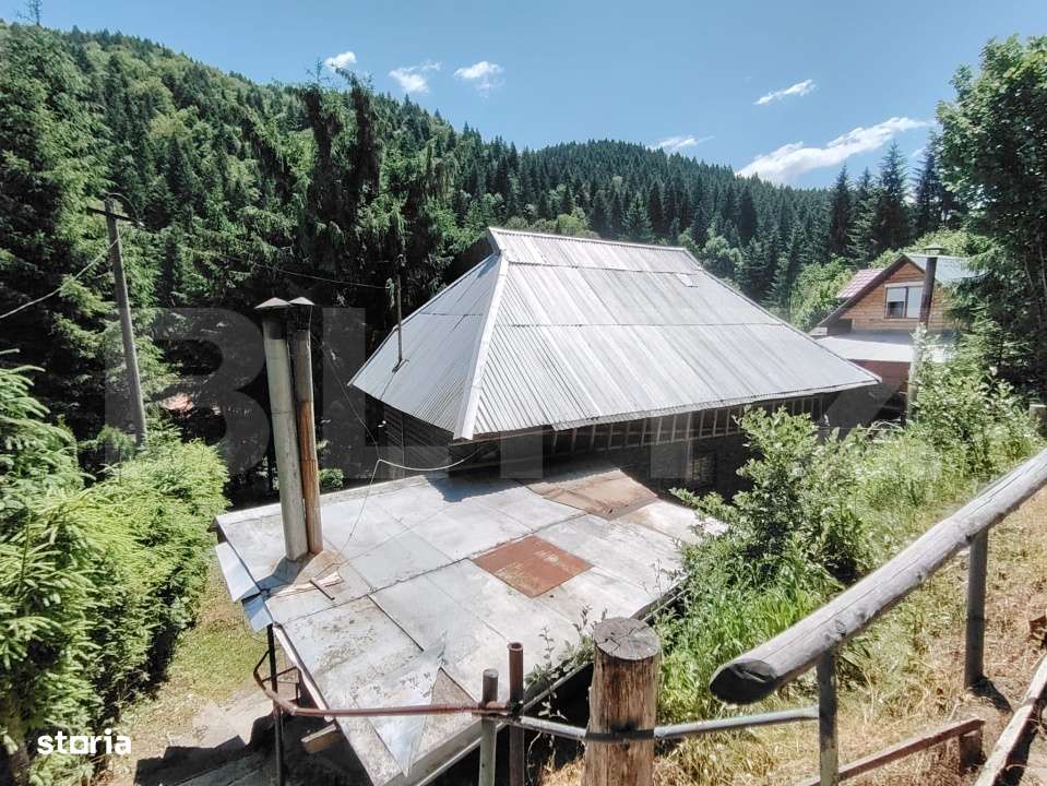 Cabana 5 camere Salard - Imagine principală: 4/16