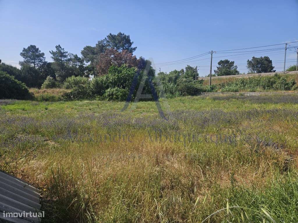 Quinta com 3 Habitações | Pinhal Novo | Terreno 5.400 m²-38