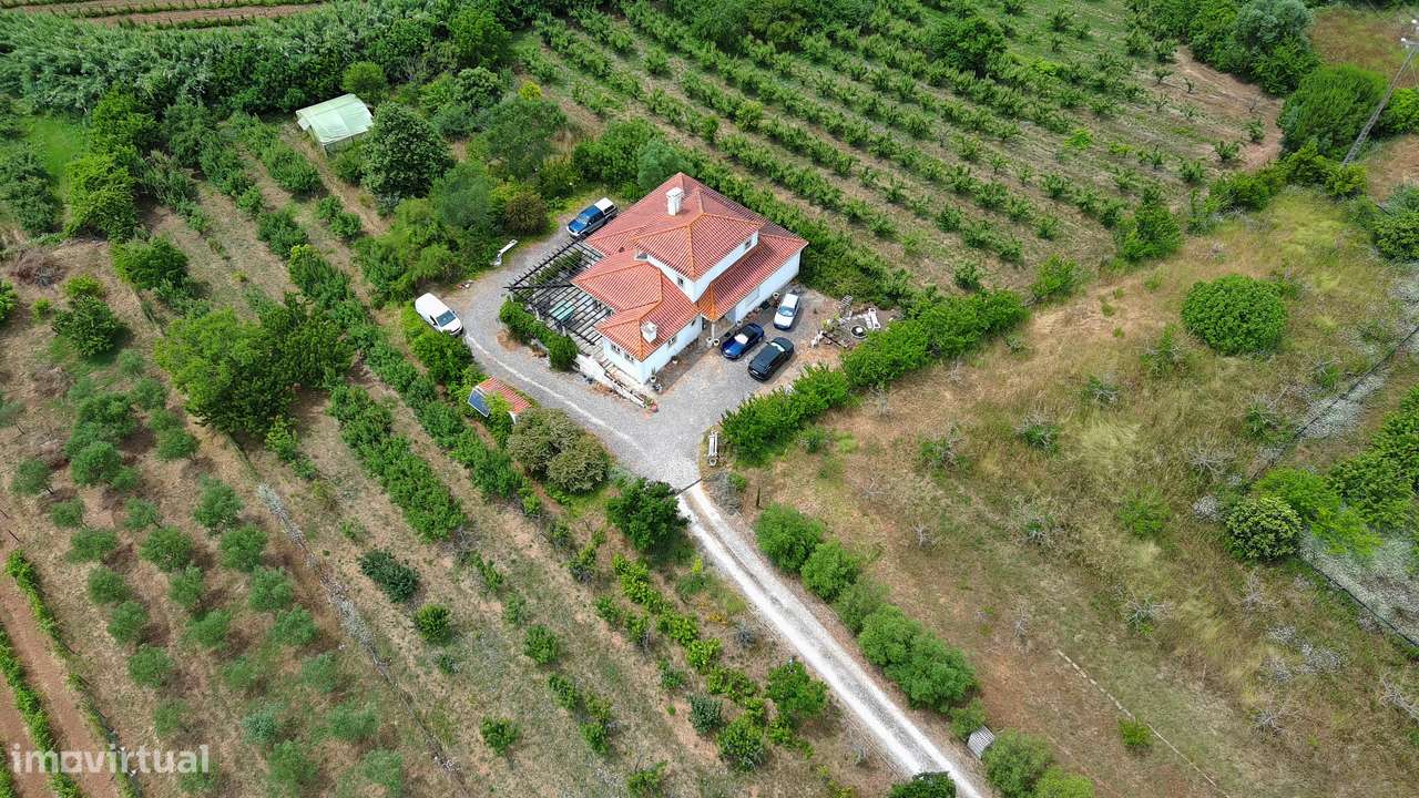 Herdade com 13.360m2 no Bombarral - Grande imagem: 5/37
