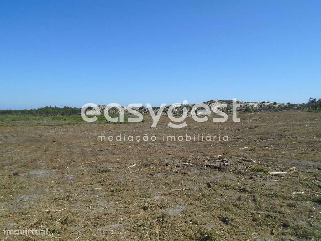 Terreno com 20000 m2 e uma Excelente vista mar em Vale Furado - Grande imagem: 5/20