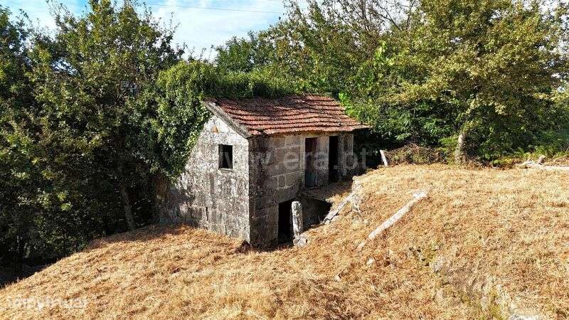 Terreno com ruina / Baião, Campelo e Ovil - Grande imagem: 5/15