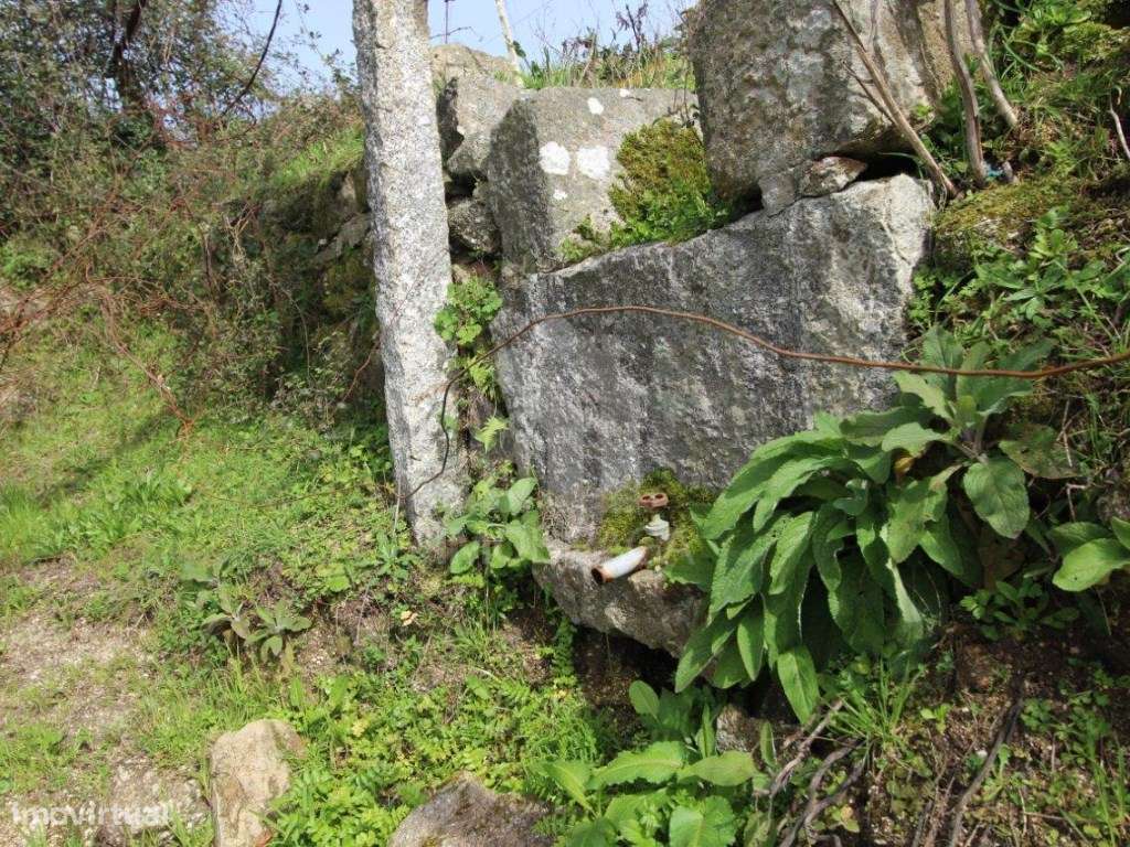 Venda Terreno com possibilidade de Lotear, em S. Mamede (Este), Braga-40