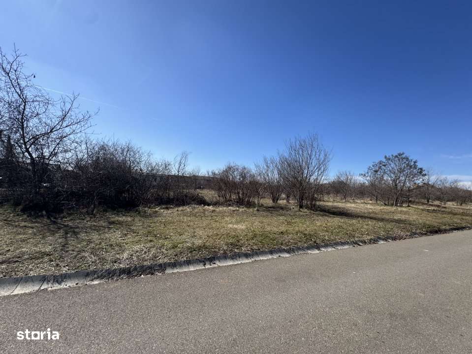 Cel mai bun teren din Paulesti-8