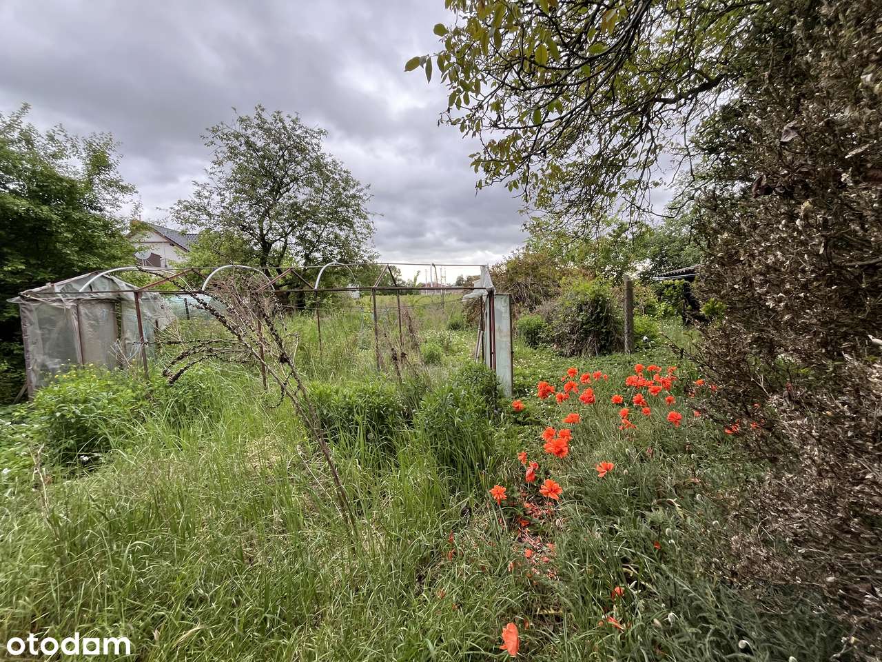 Ogrodowa 19, dom wolnostojący na dużej działce, pełne media!od zaraz!-19