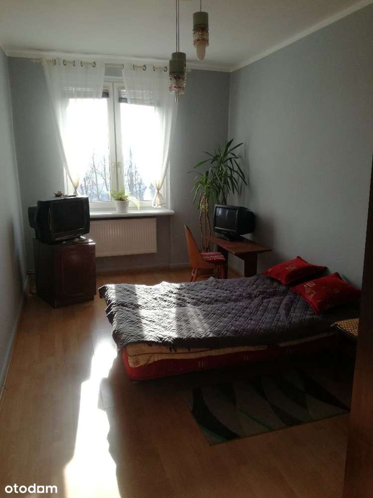 2 Pokoje+piwnica w dobrej lokalizacji/DO REMONTU!! - Pełny obrazek: 5/11