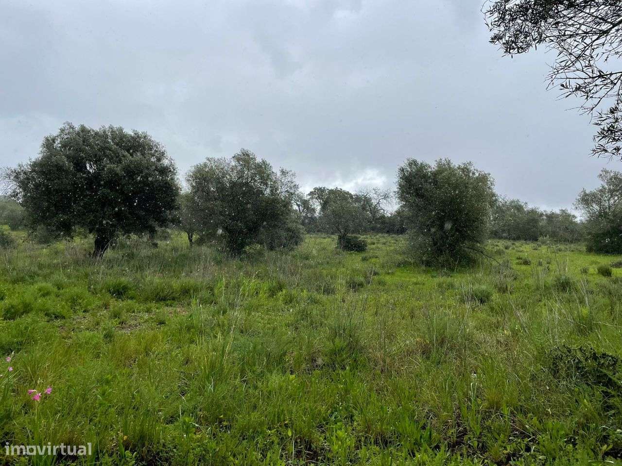 Terreno Rustico em torre Apra- Loule-10