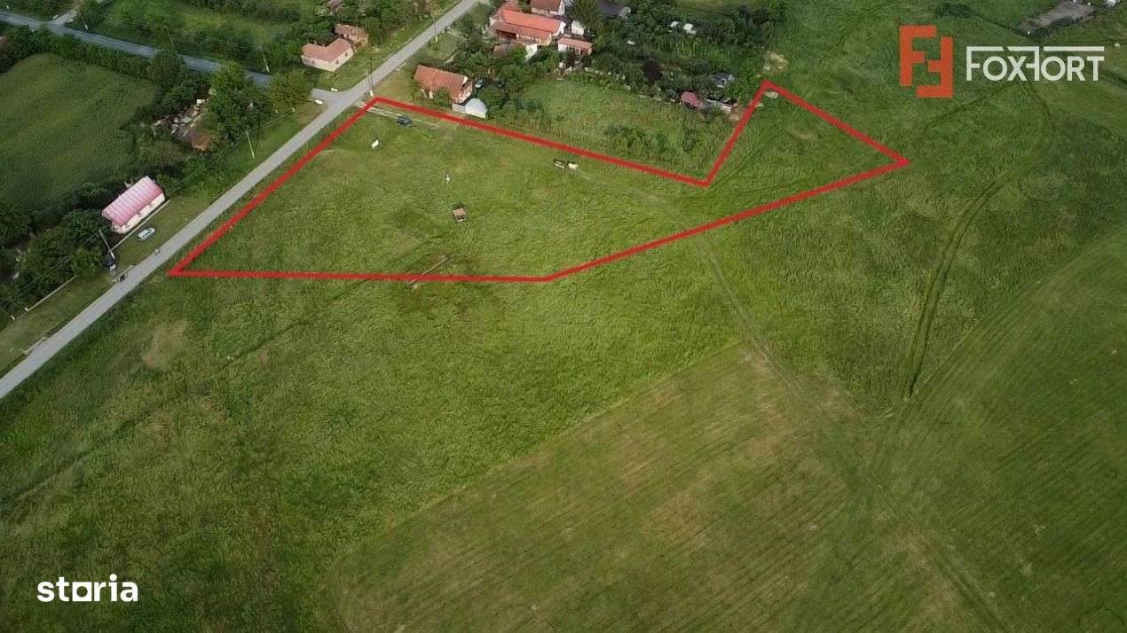 COMISION 0% Teren intravilan 6400 mp la drum asfaltat - Padureni - Imagine principală: 4/19