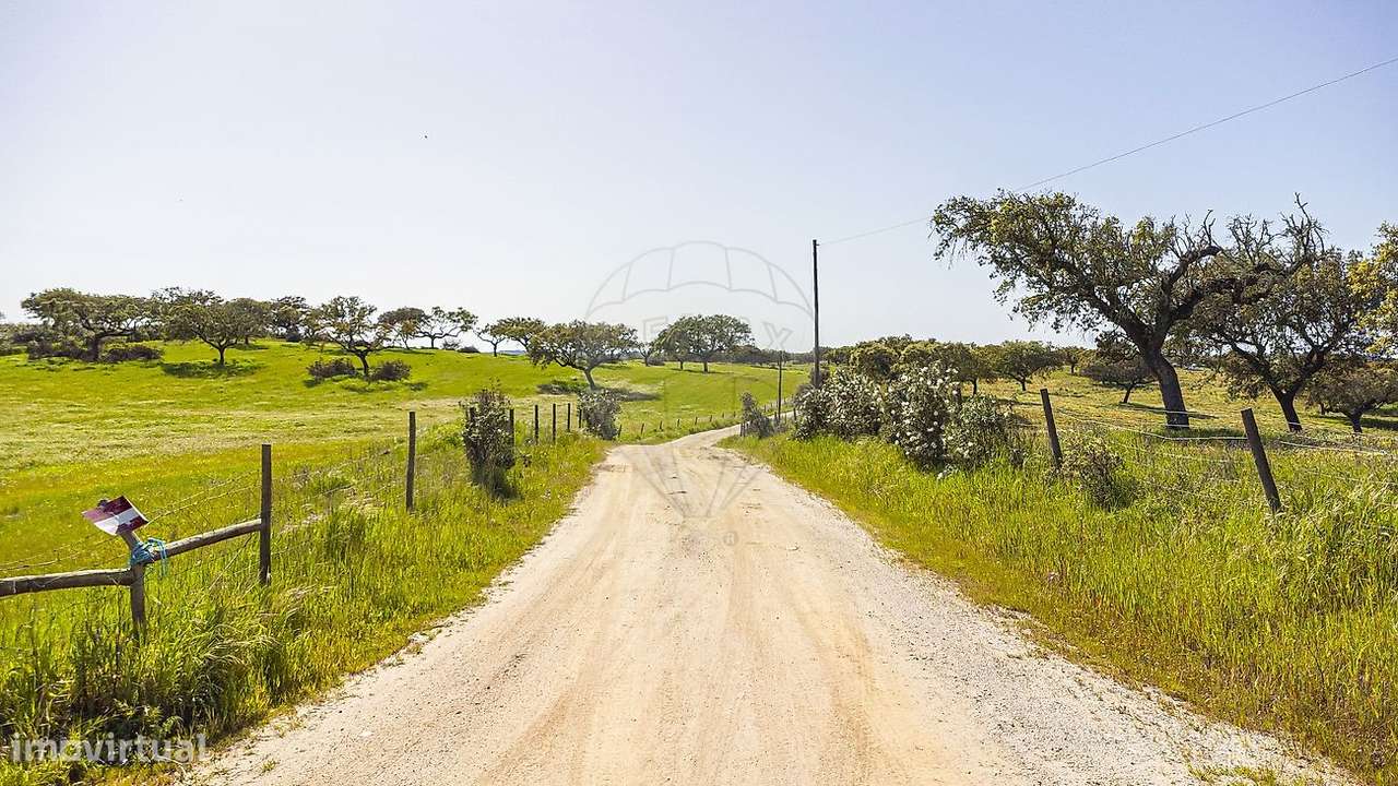 Terreno  para venda - Grande imagem: 5/50