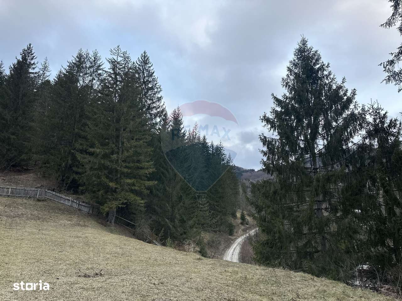 Teren 2,000mp Stejaru (Pangarati) / None - Imagine principală: 4/7