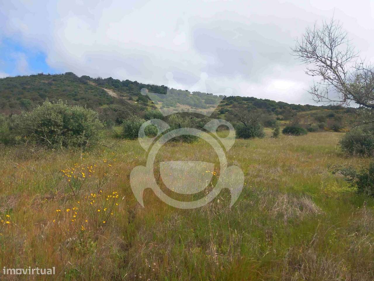 Terreno Rústico com ruína - 3Ha-13