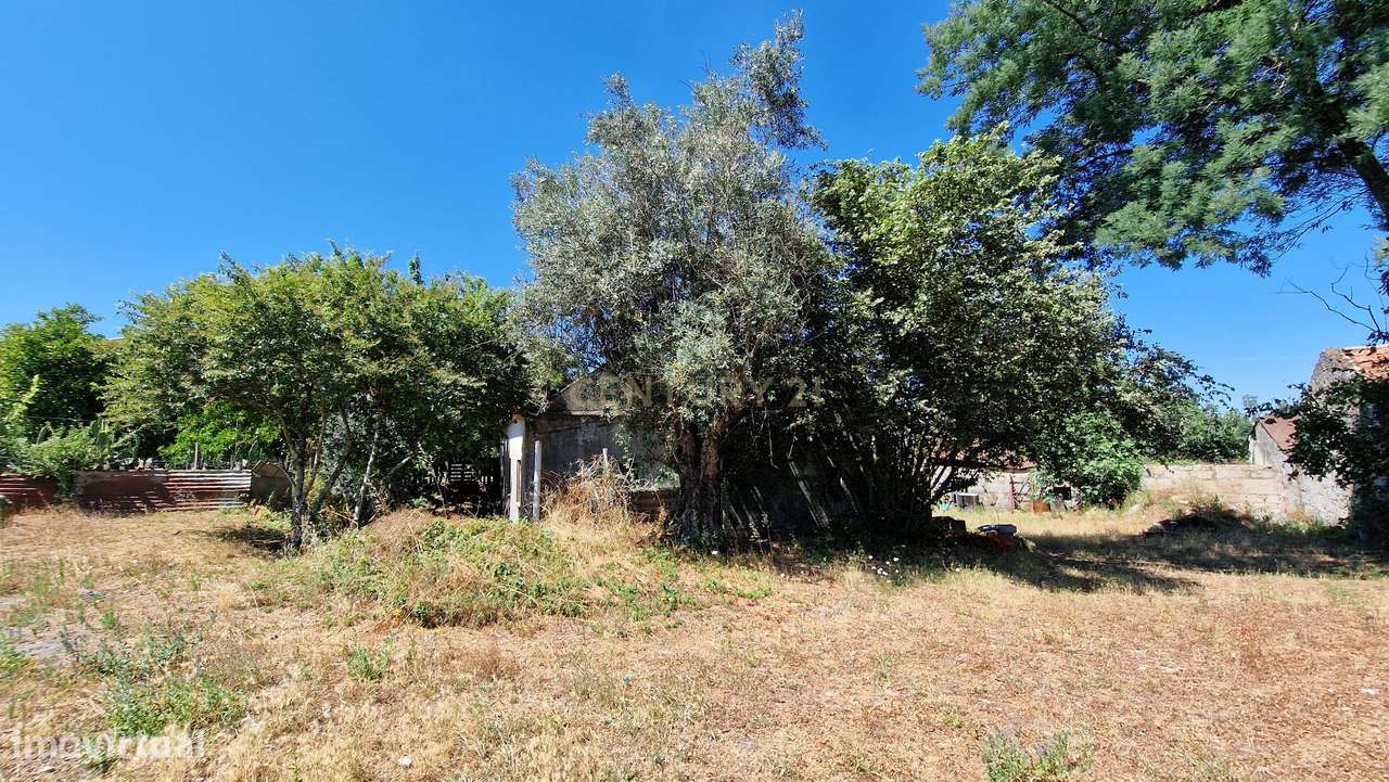 Quintinha em Nelas com vista cidade e montanha - Grande imagem: 4/10