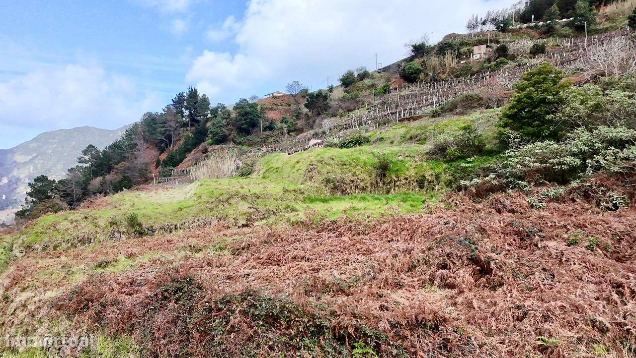 Construa a Sua Casa em São Vicente – Natureza, Tranquilidade e Potenci - Grande imagem: 3/8