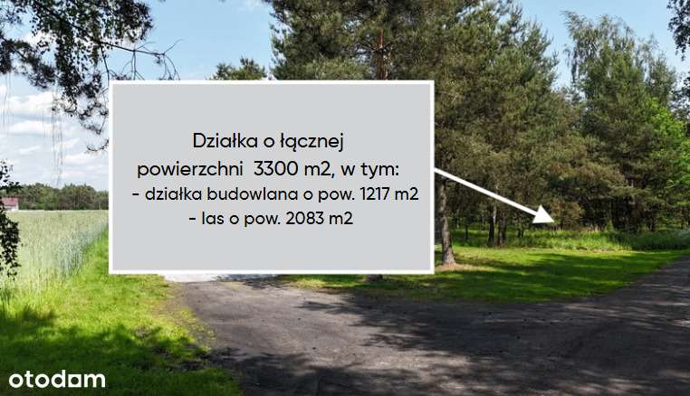 Działka budowlana z lasem - Janków Drugi - Pełny obrazek: 5/8