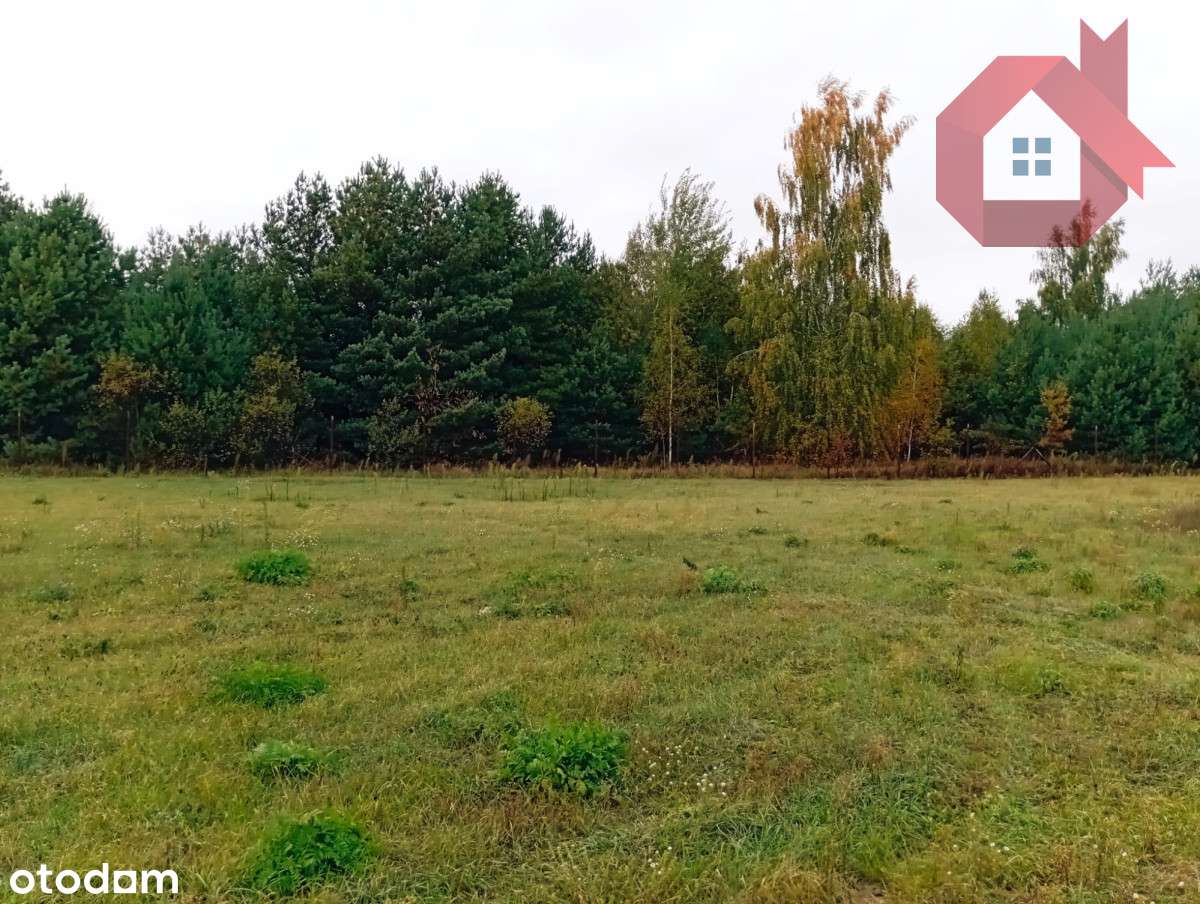 Działka 1726 m2 z prądem , Henryszew k/ Żyrardów-5