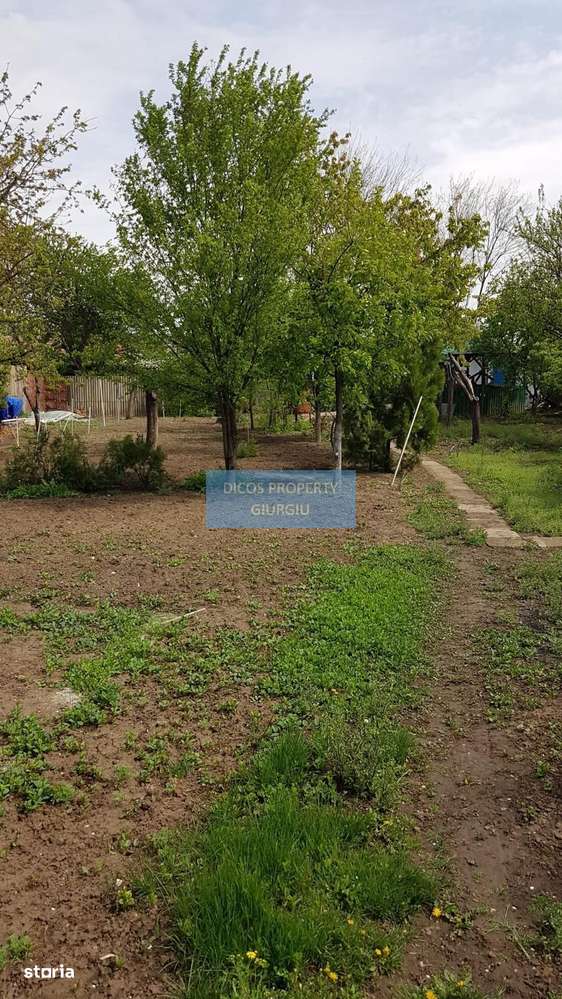 Teren 2.600 mp, utilități, Str. Merișor – Giurgiu-6