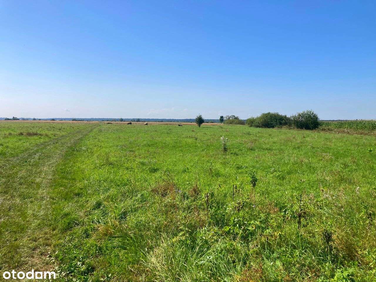 Urokliwa działka Miechowice Małe - Pełny obrazek: 2/10