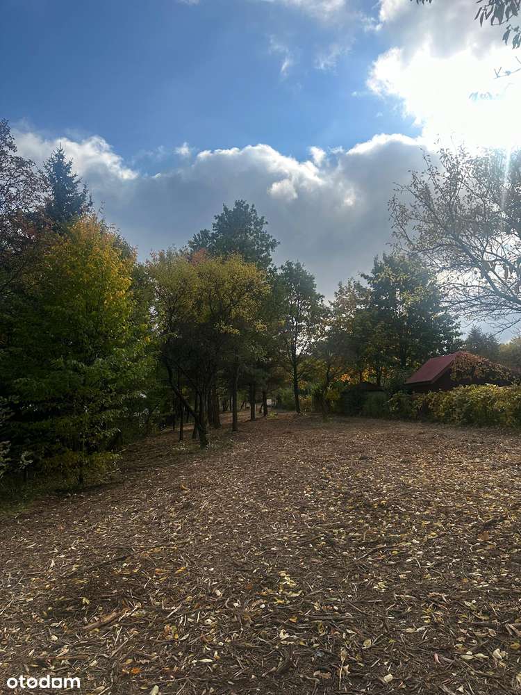 Dz. letniskowa blisko rzeki Świder 30 min z Warszawy S8 opcja podziału-7