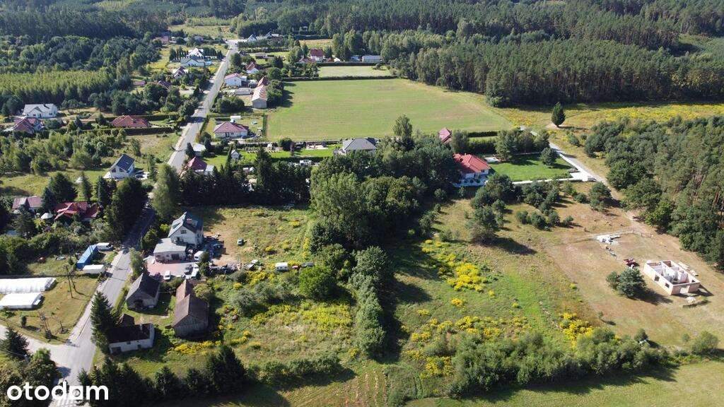 DZIAŁKA POD LASEM W SANTOCKU! - Pełny obrazek: 4/7