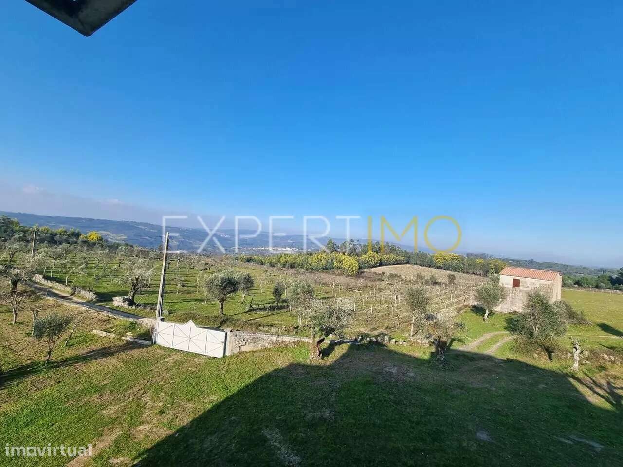 Terrenos vinícolas na região do Dão - Gouveia - Grande imagem: 5/7