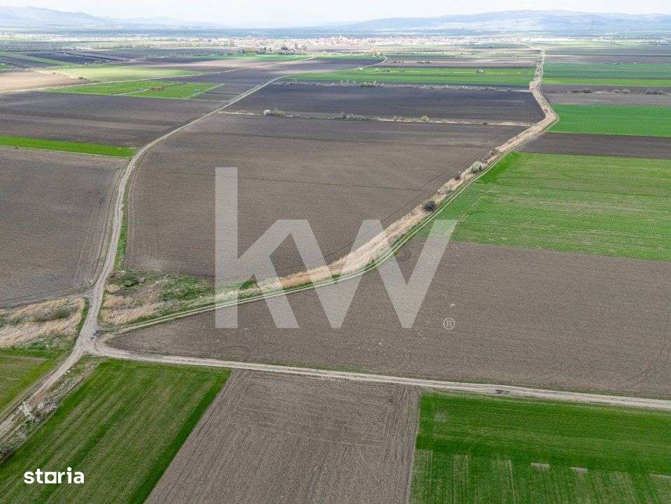 Teren de vanzare – Ghimbav, Brasov | 9.400 mp - Imagine principală: 4/6