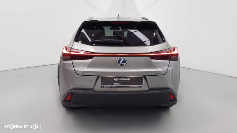 Lexus UX 250h - 6