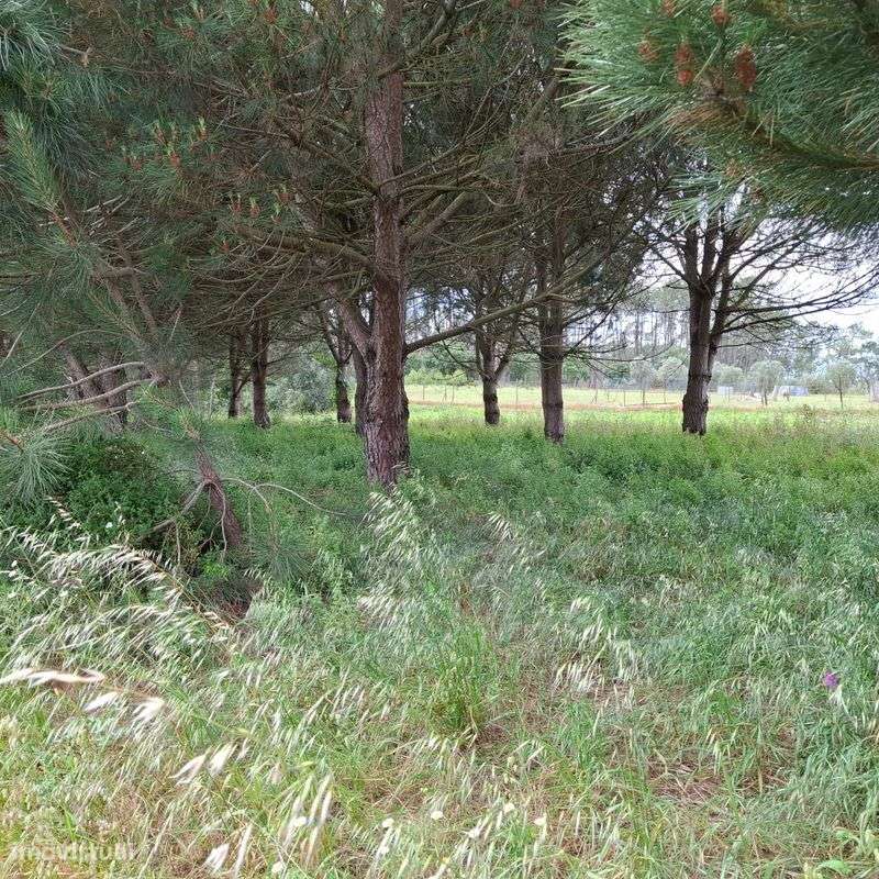 Terreno  para venda - Grande imagem: 2/5