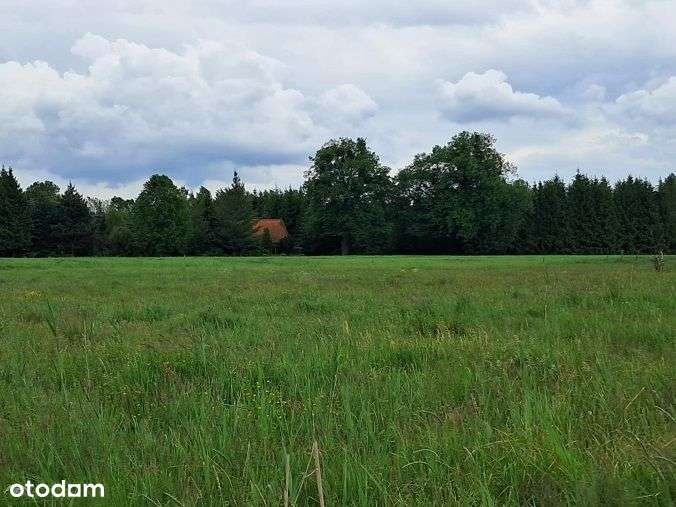 Działka, 10 400 m², Dąg-8