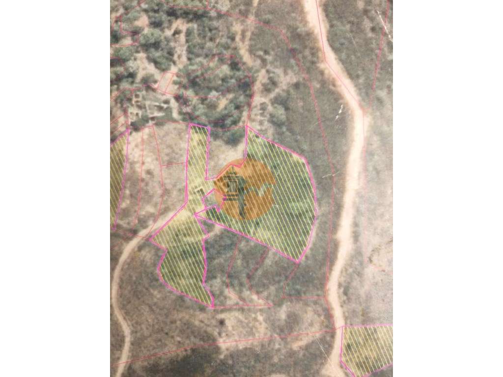 Terreno Misto em São Bras do Alportel - Grande imagem: 2/11