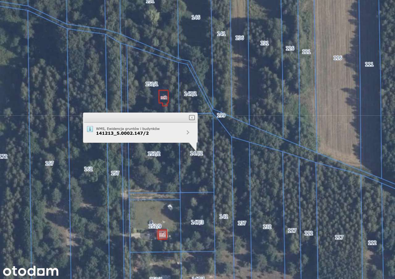 Działka 1 334 m² pod zabudowę rekreacyjną – Borówek, 45min od Warszawy - Pełny obrazek: 5/6