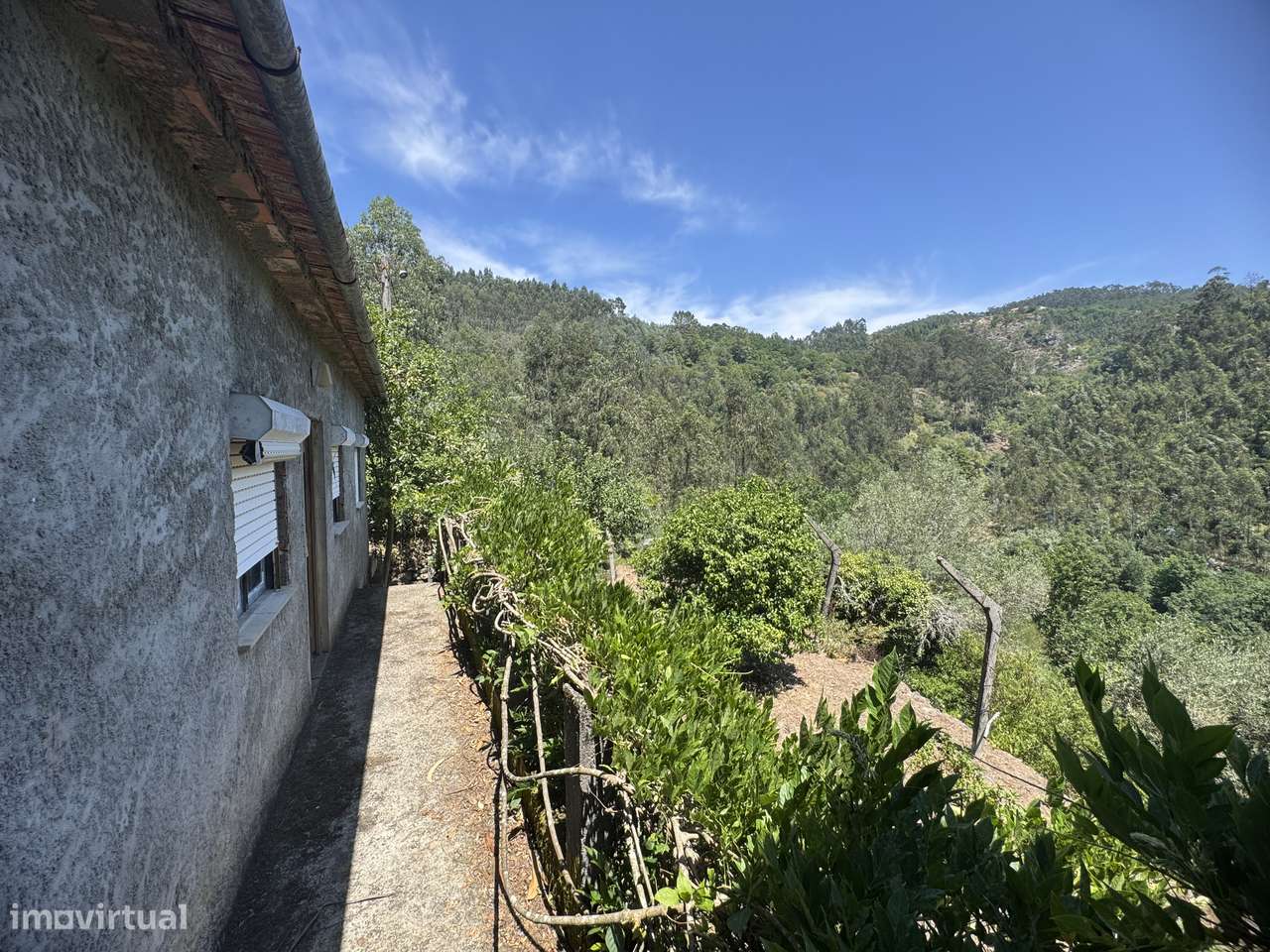 Quinta c/ moradia p/ restaurar – São Pedro do Sul-6