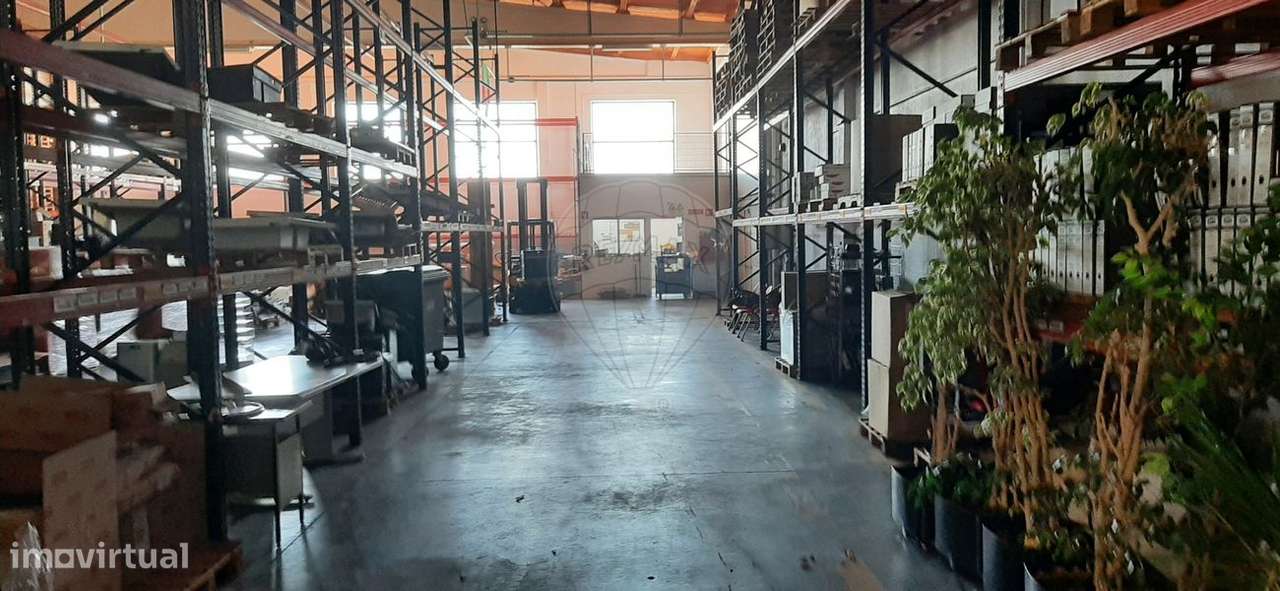 Armazém  para arrendamento - Grande imagem: 4/14