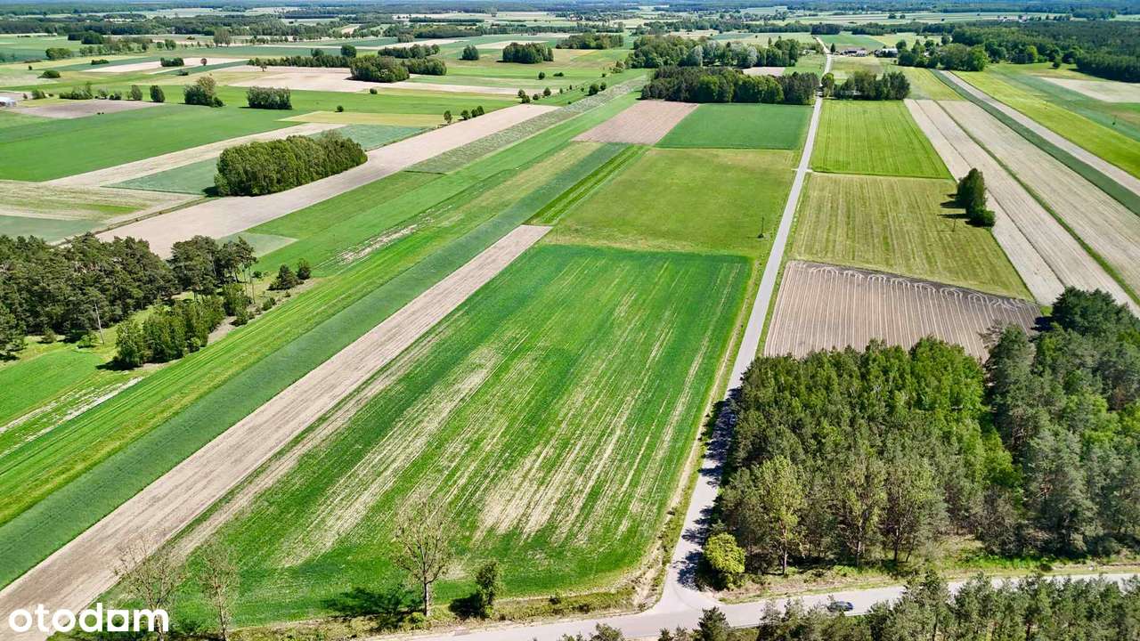 Atrakcyjna pod biznes działka rolna 5,7253 ha Dąbczyn gm. Ciechanowiec