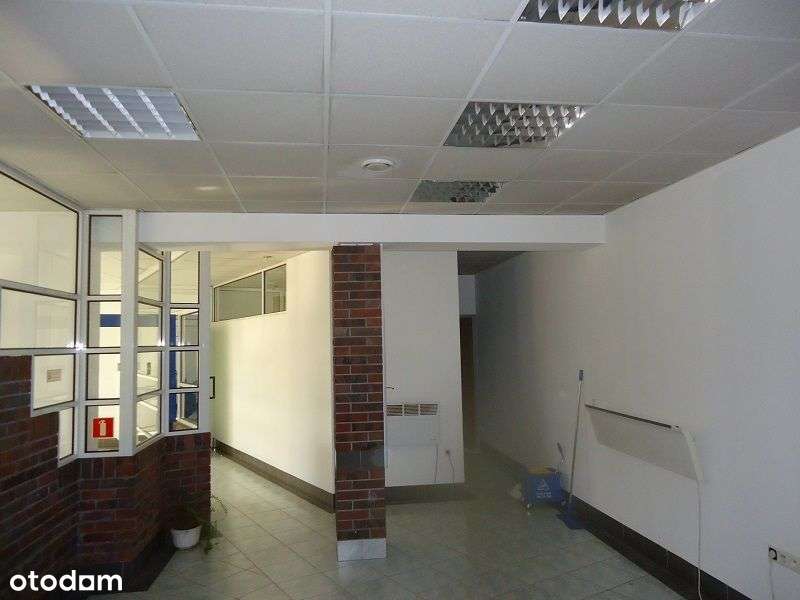 Lokal użytkowy - Pełny obrazek: 3/3