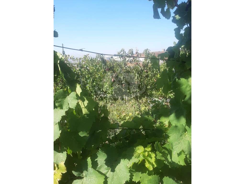 Terreno com casa modular localizado na Quinta da Peça, Loures - Grande imagem: 5/46