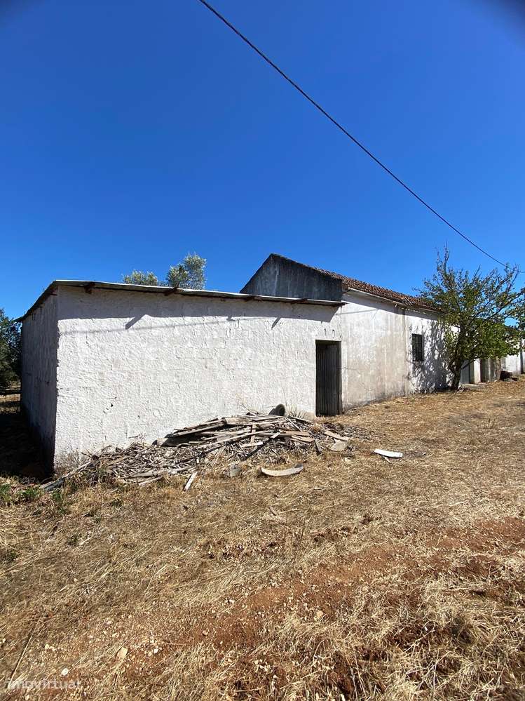 Armazém  Venda em Alcanena e Vila Moreira,Alcanena-3