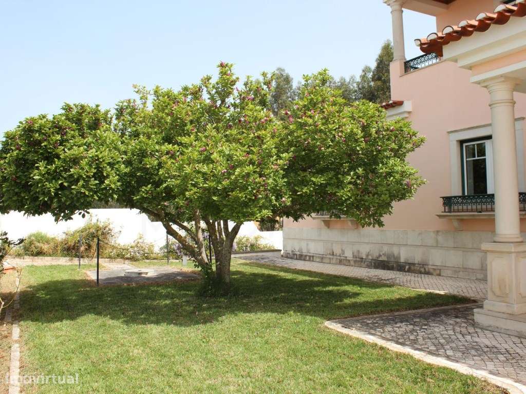 Luxuosa moradia T5 + 1 em Rio Maior-4