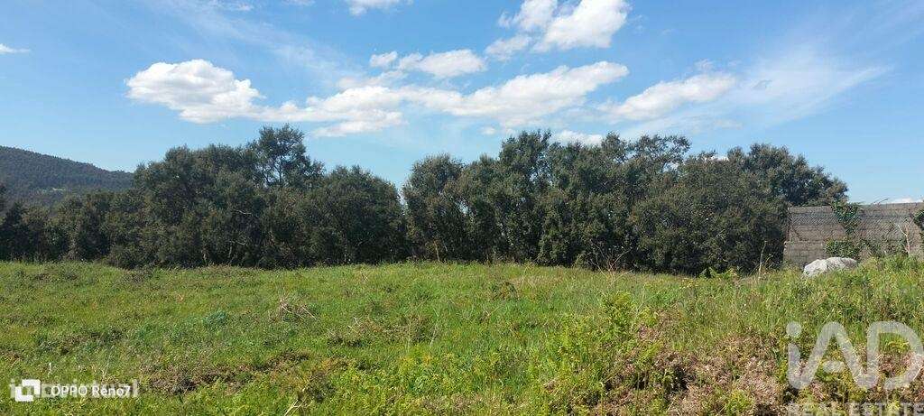 Terreno para construção em Negrelos (São Tomé) de 31109,00 m2 - Grande imagem: 5/29