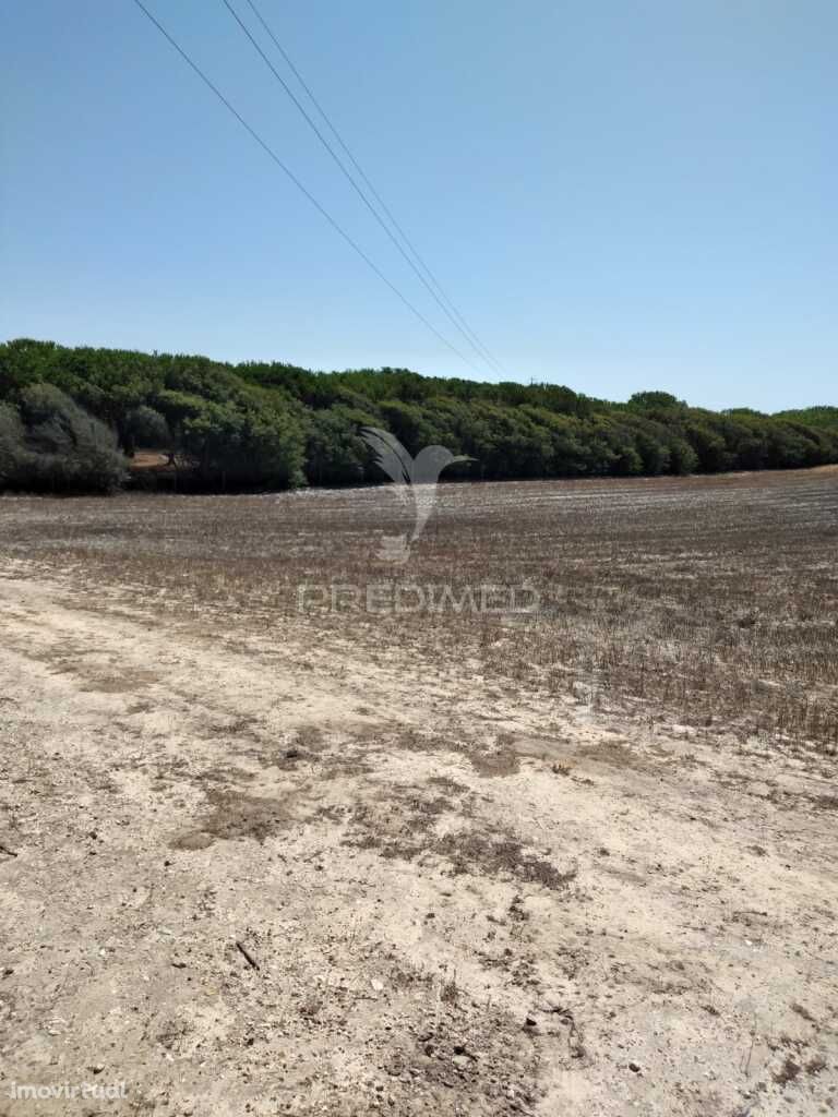 Terreno Rústico de 7.200m2 em Porto Corvo