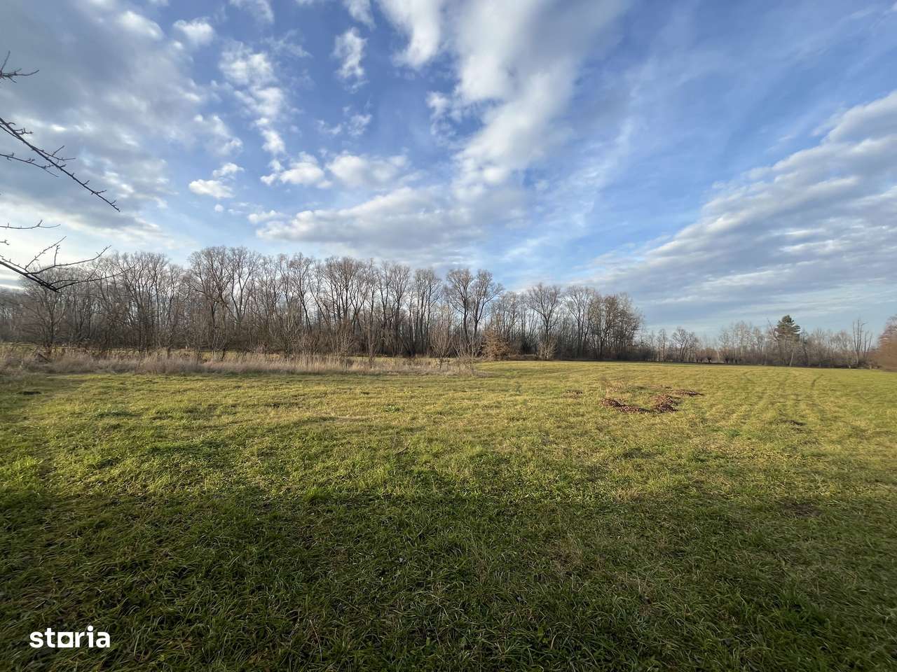 TEREN INTRAVILAN GENEROS | 72 ARI | GALANESTI - Imagine principală: 3/11