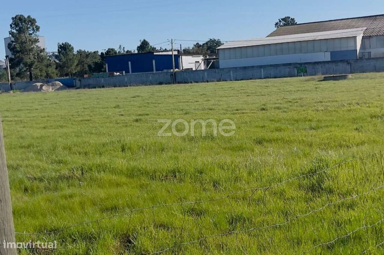 Terreno Rustico | Salvaterra de Magos - Grande imagem: 4/9