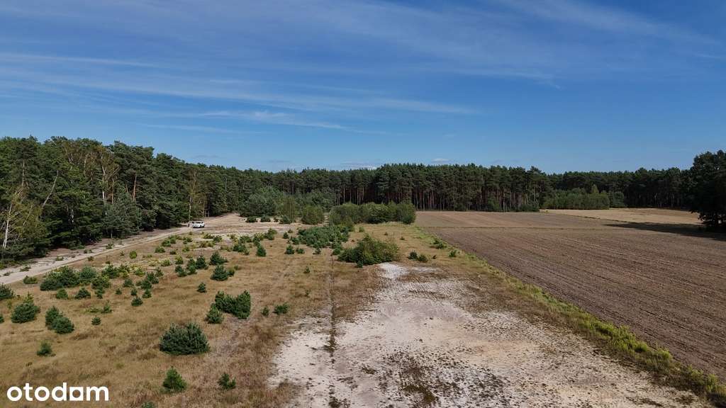 Działka budowlana - spokojna okolica - Pełny obrazek: 5/9