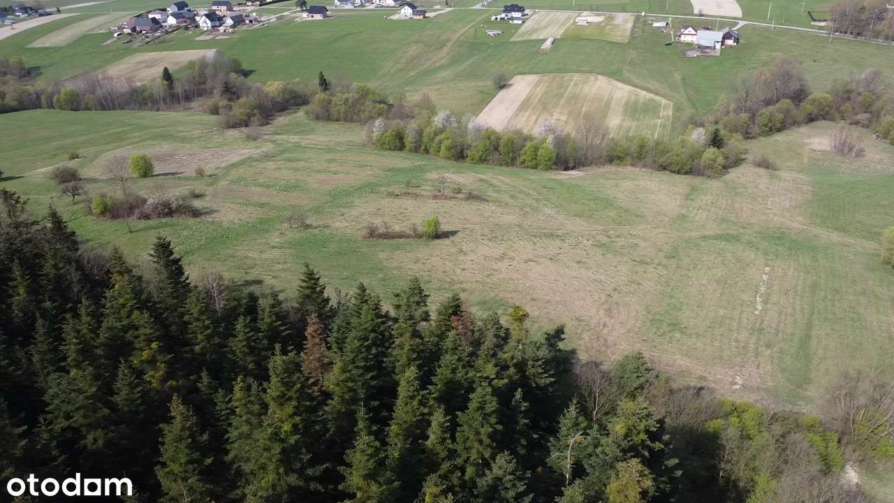 Działka rolna 4,5 ha - zachodni stok, dobra ekspozycja - Pełny obrazek: 4/8