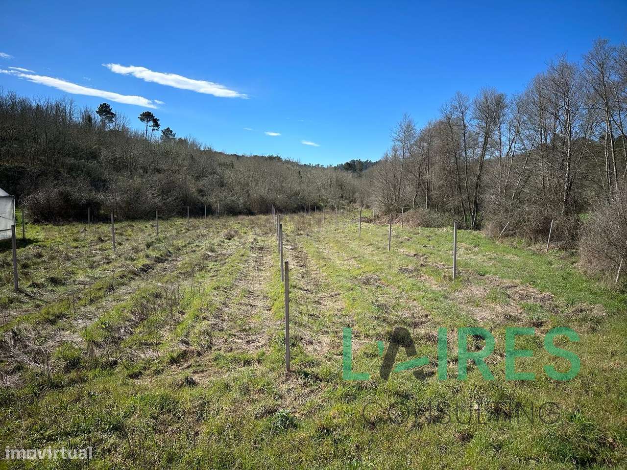 Quinta Agrícola com 3ha-6