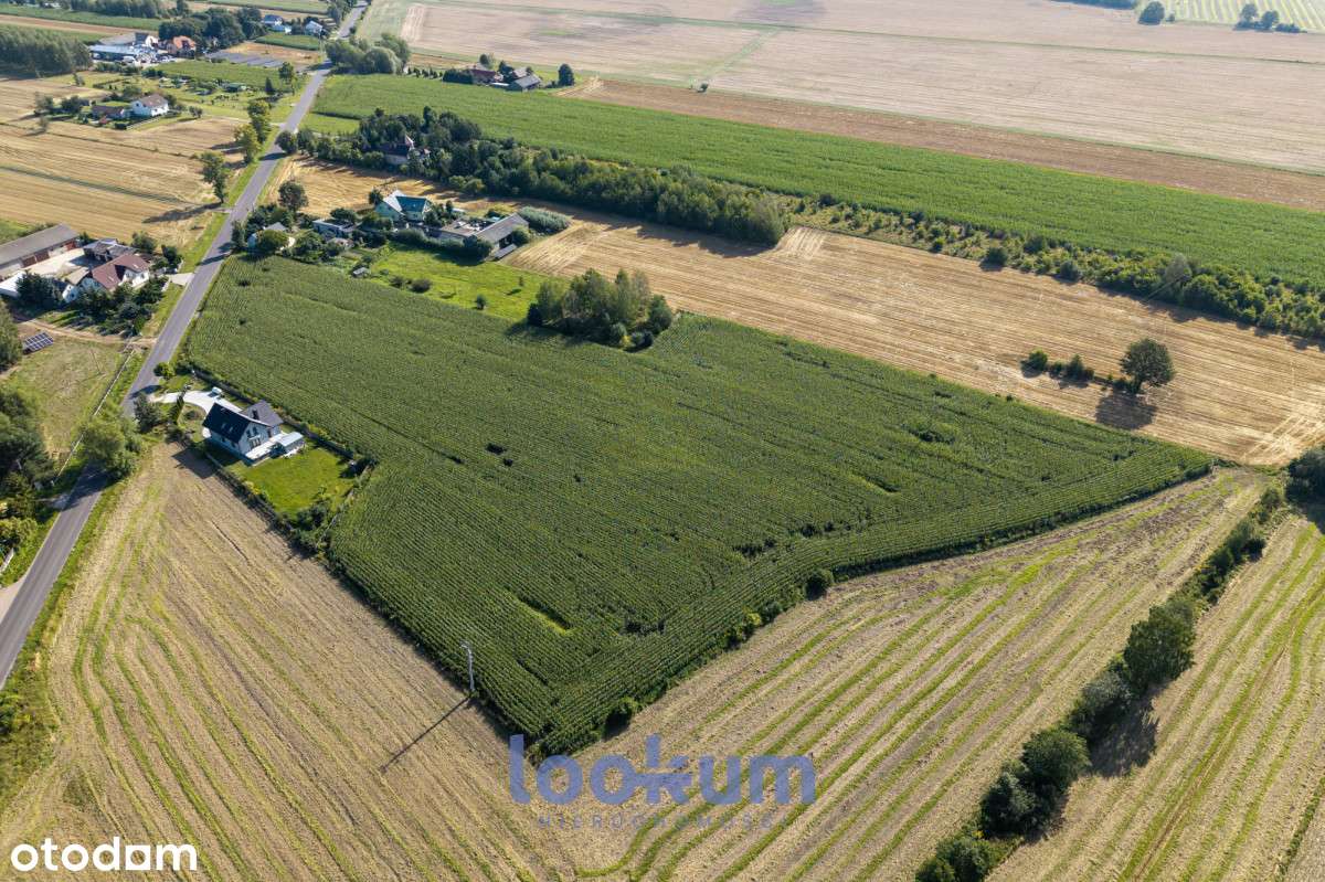 Duże działki z WZ – Małczew, gmina Brzeziny - Pełny obrazek: 4/11