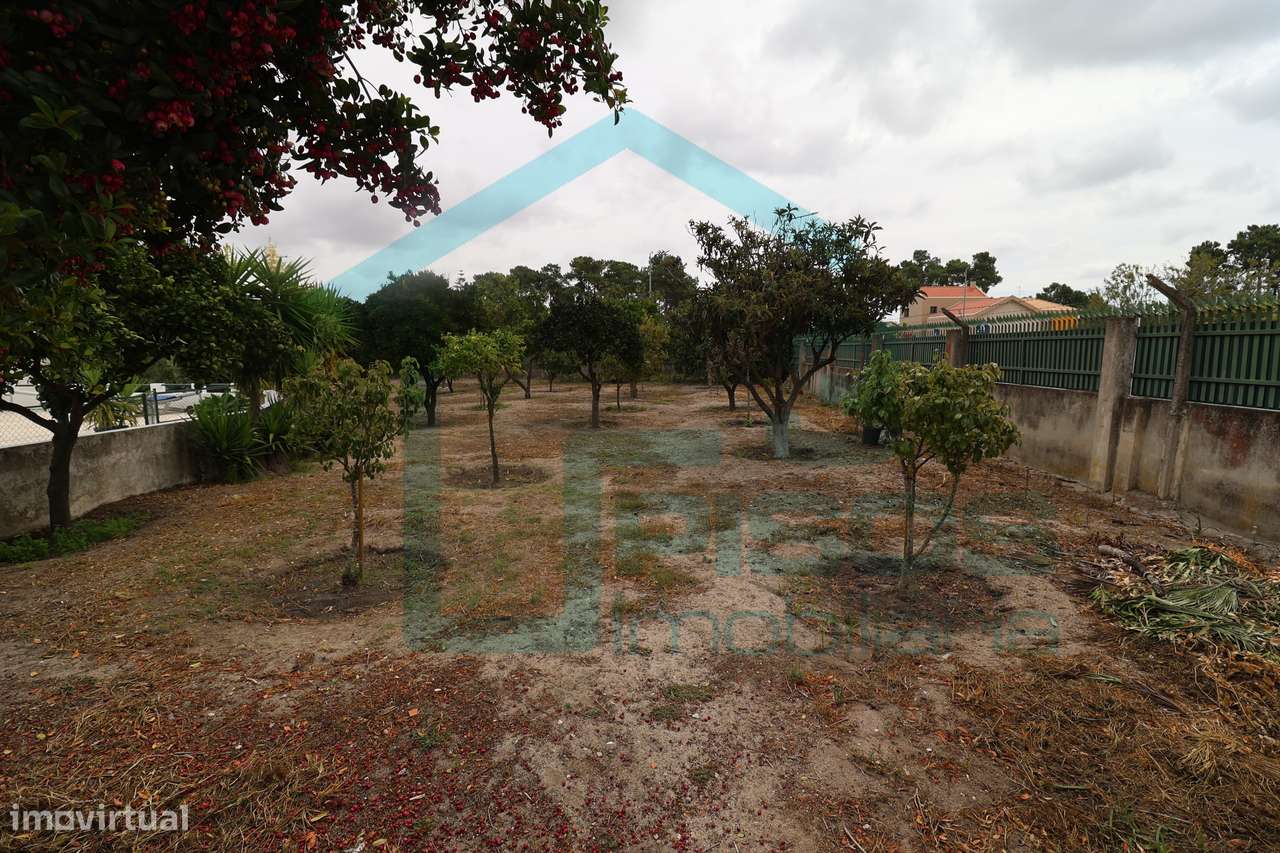 Moradia, Quinta do Conde, Sesimbra piscina, terreno c/arvores de fruto-59