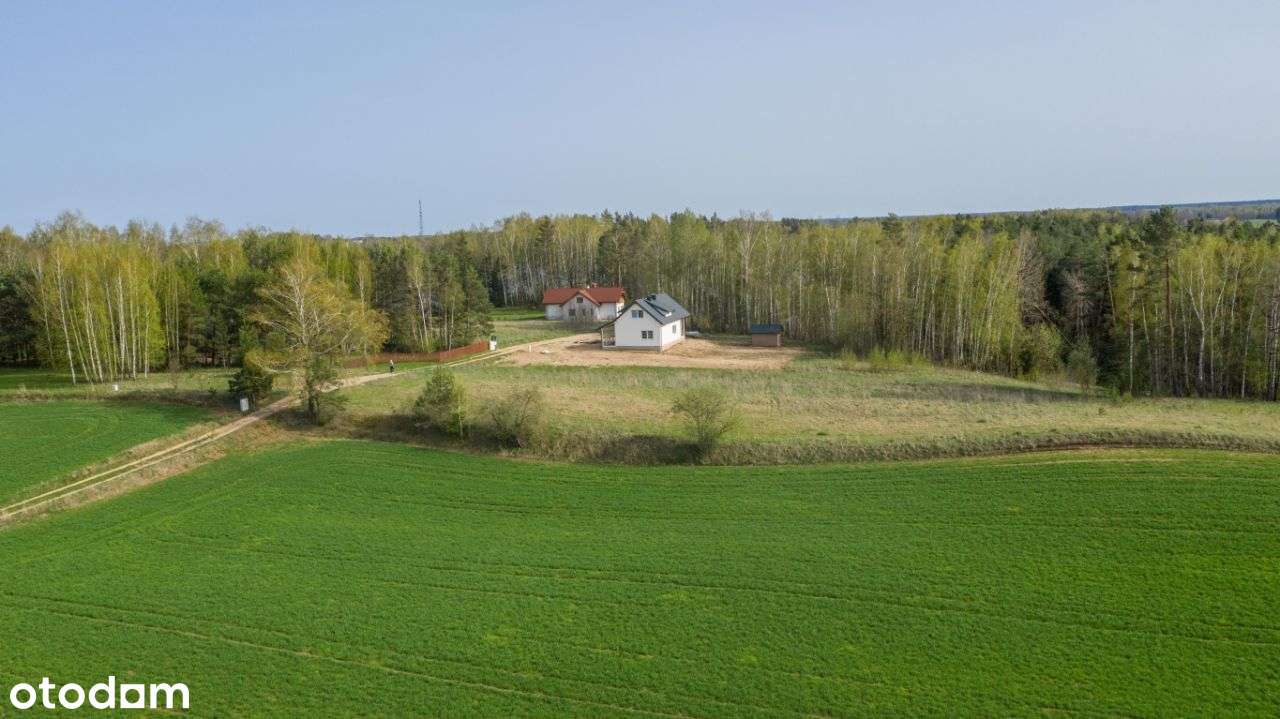 Działka budowlana 3016m2 blisko czystego jeziora. - Pełny obrazek: 5/15